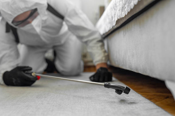 Professional Bed Bug Control technician working in Forsyth County County, NC